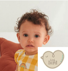 LACARA registered model for LittleBird